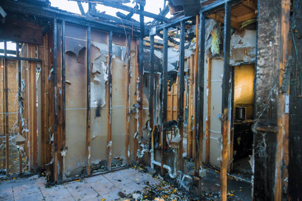 Professional Smoke Damage Removal technician working in West York, PA